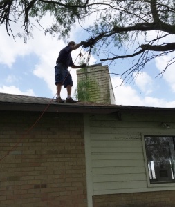 Trim tree branches away from roof line.