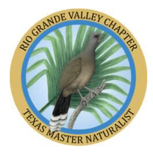 Rio Grande Valley Chapter